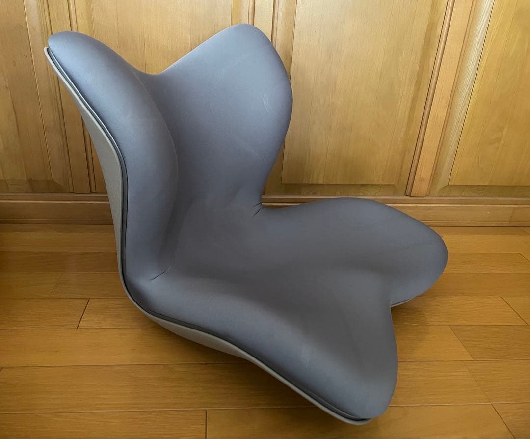 ★超美品★MTG Style PREMIUM スタイルプレミアム 姿勢矯正