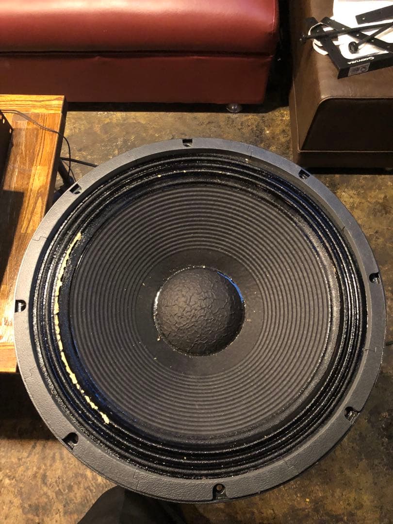 メーカー不明　EV? 約46cm スピーカー