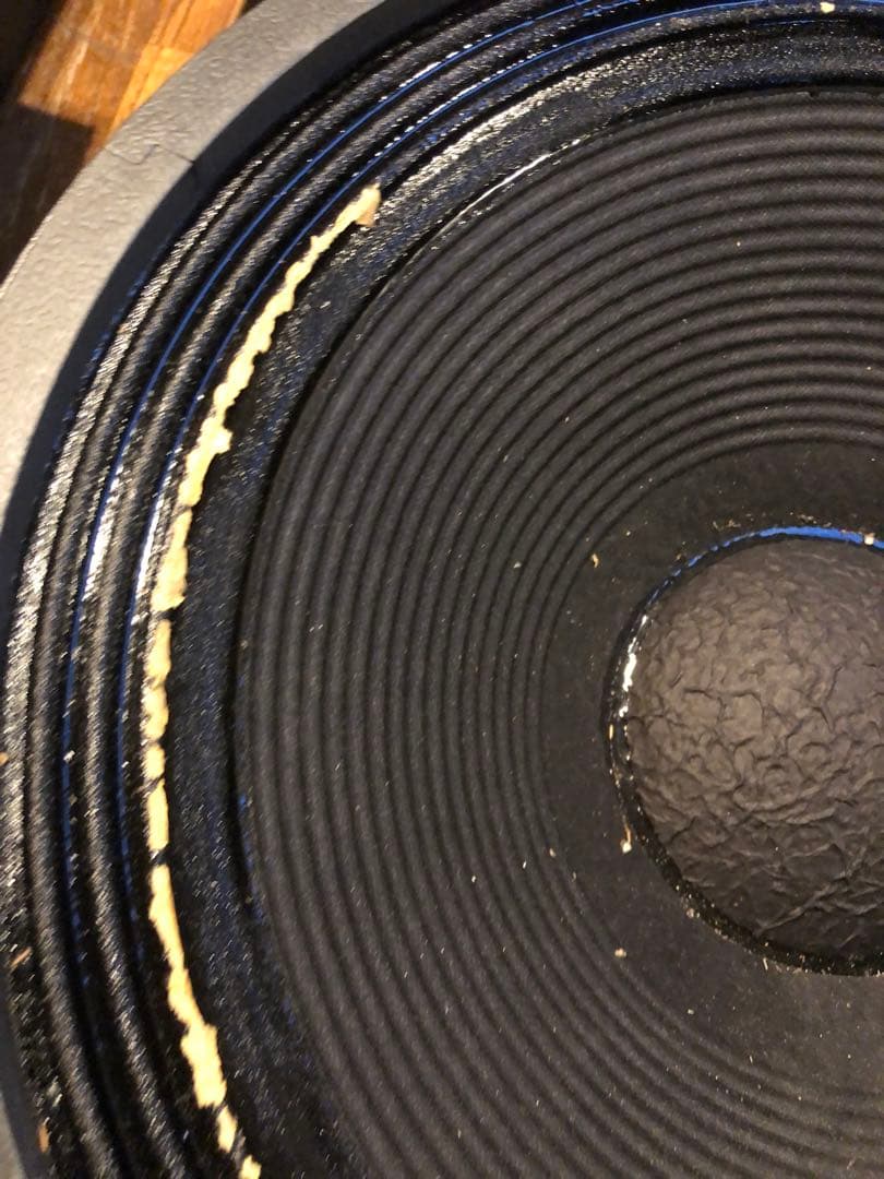 メーカー不明　EV? 約46cm スピーカー