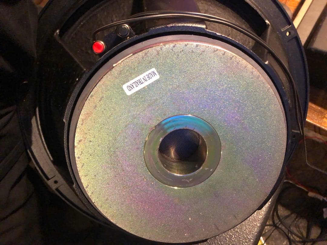 メーカー不明　EV? 約46cm スピーカー