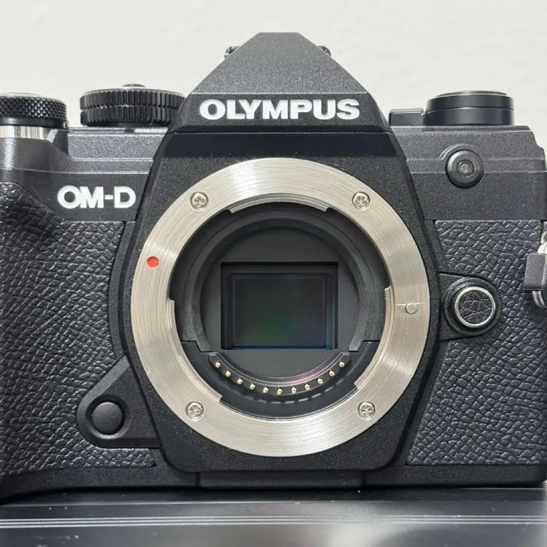 OM-D E-M5 Mark III ボディ ブラック