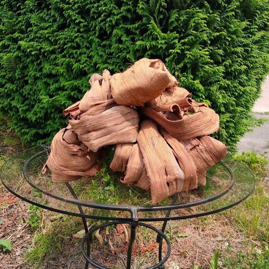 青森岩木山産 山葡萄 皮 樹皮 約2kg