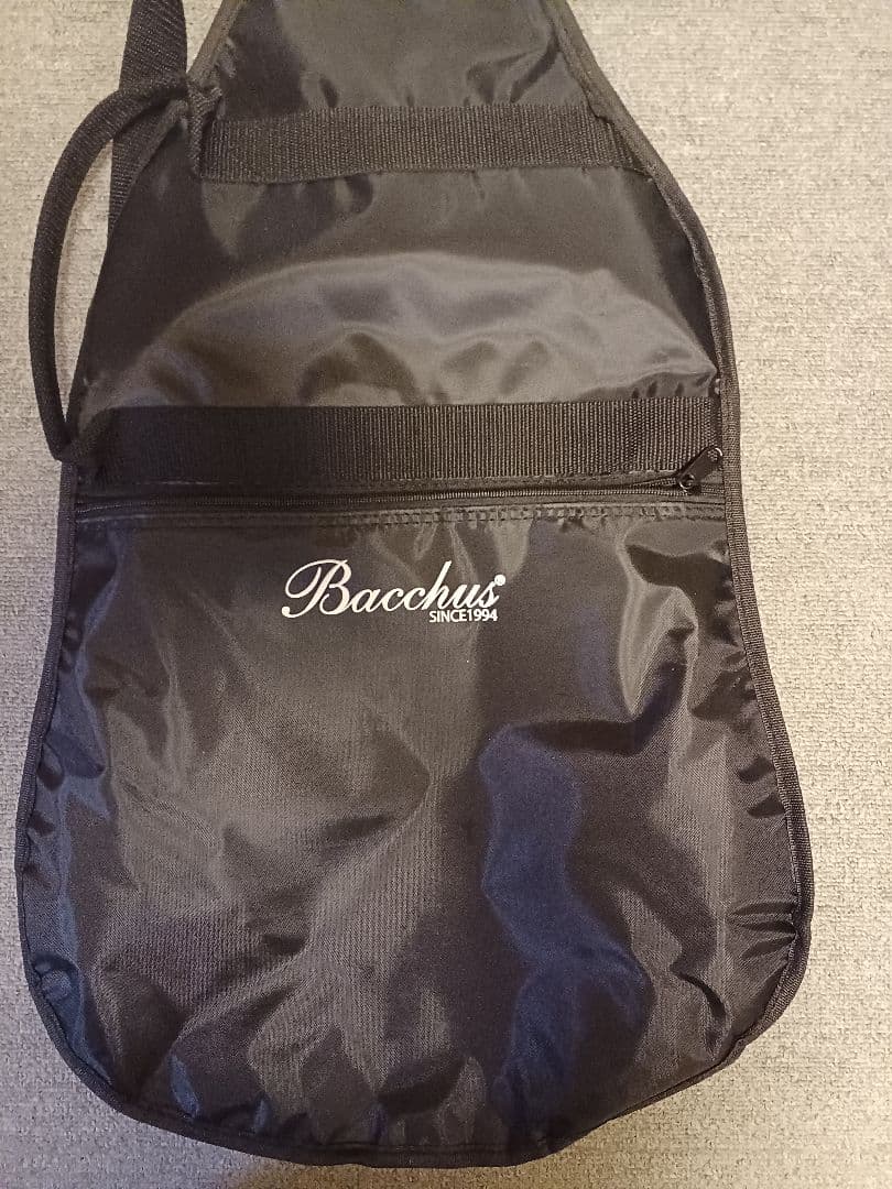 ギター Bacchus Universe Series BST-2-RSM