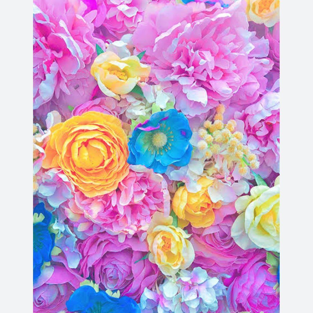 新品タグ付　リボンタイコンビニットチュニック　白　FRAY I.D