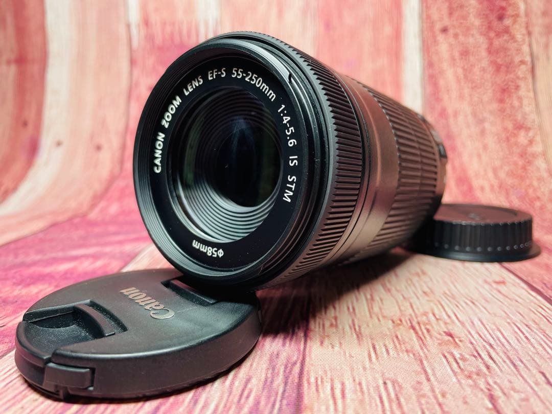 CANON キャノン EF-S 55-250mm 1:4-5.6 IS STM