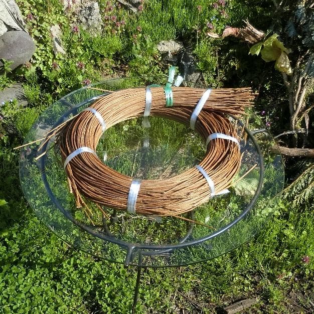 青森岩木山採取　あけび蔓　150cm～ 1.5kg