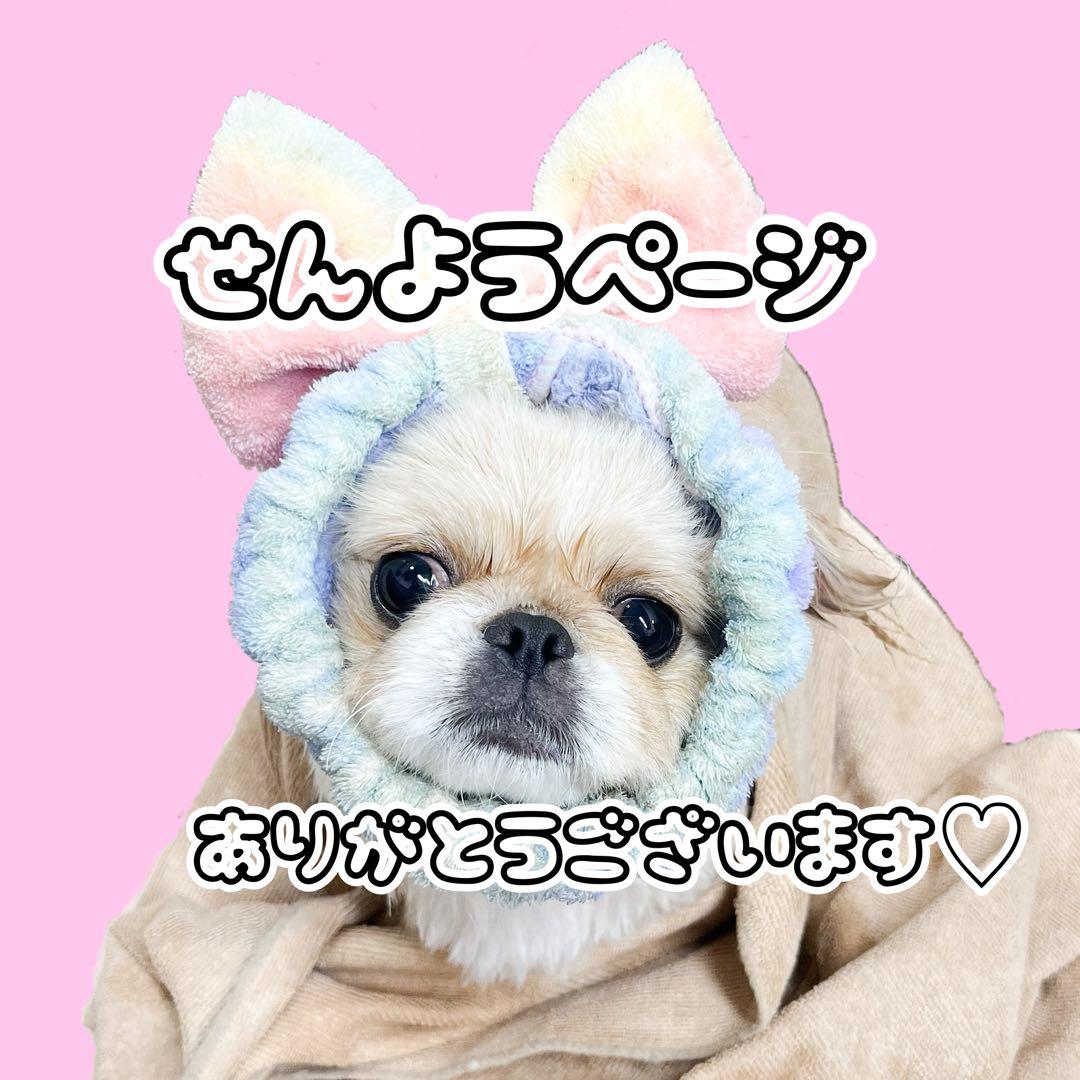 専用ページ★ ラッピング シール 詰め合わせ★