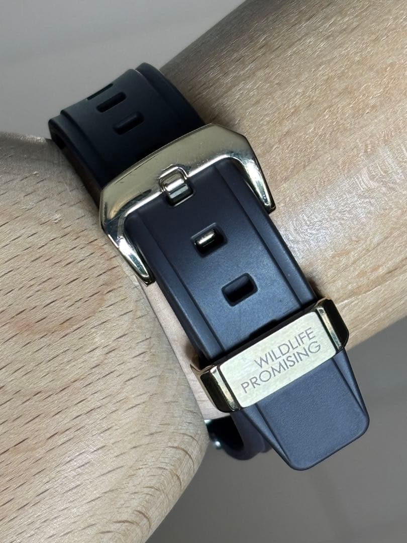 baby-G/アースウォッチ/MSG-W200/レオパード/限定/電波/ソーラー