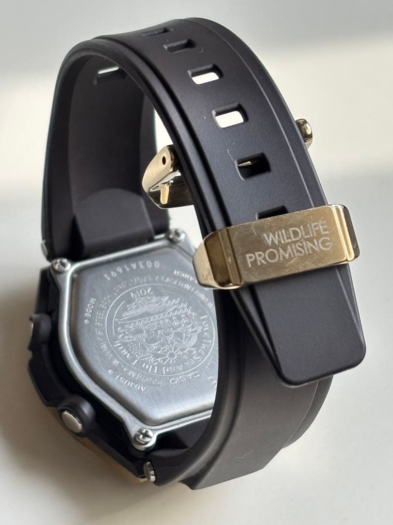 baby-G/アースウォッチ/MSG-W200/レオパード/限定/電波/ソーラー