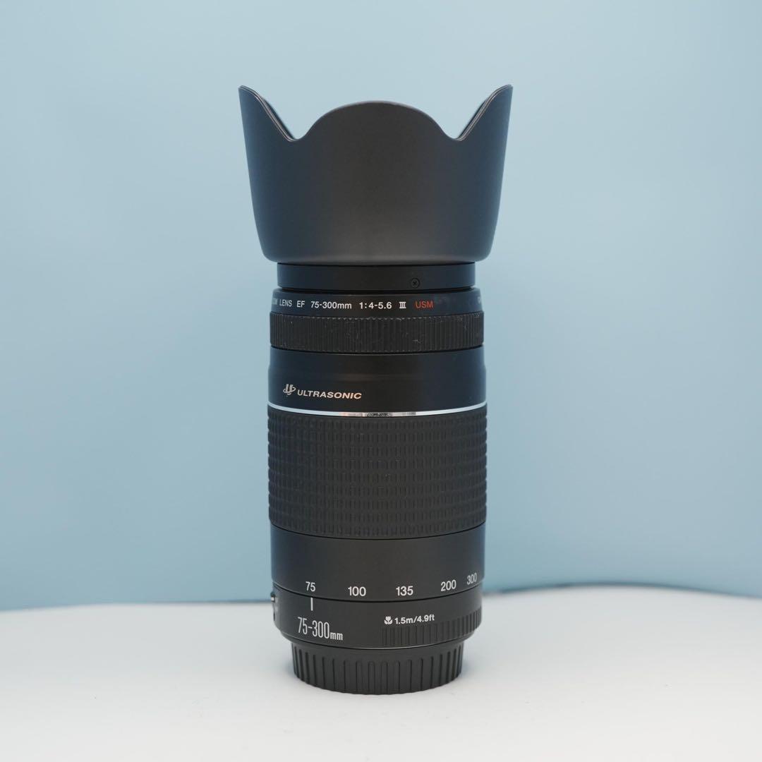 Canon純正 75-300mm 望遠レンズ 美品 a4553