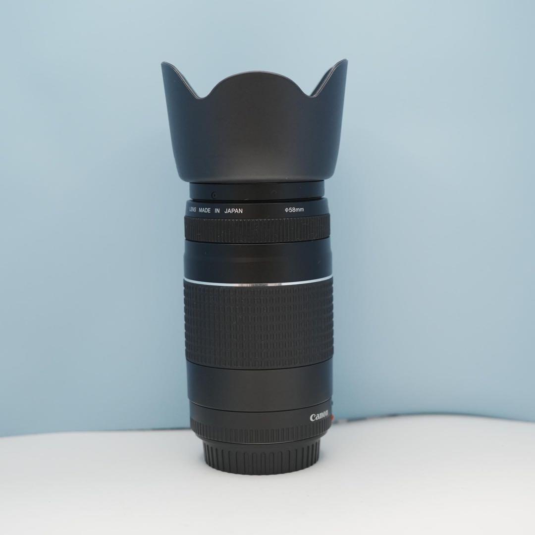 Canon純正 75-300mm 望遠レンズ 美品 a4553