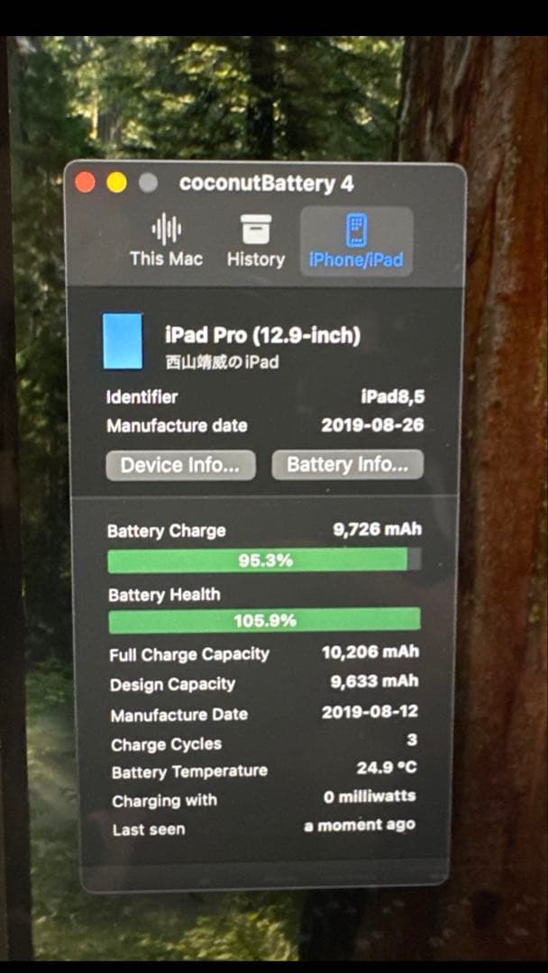 【ほぼ未使用品✨】iPad Pro 12.9インチ 充電3回バッテリ105%