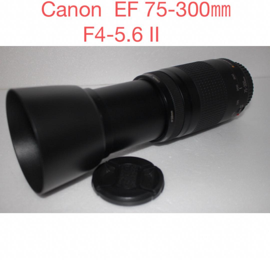 望遠レンズ☆キャノン☆Canon EF75-300㎜　II☆