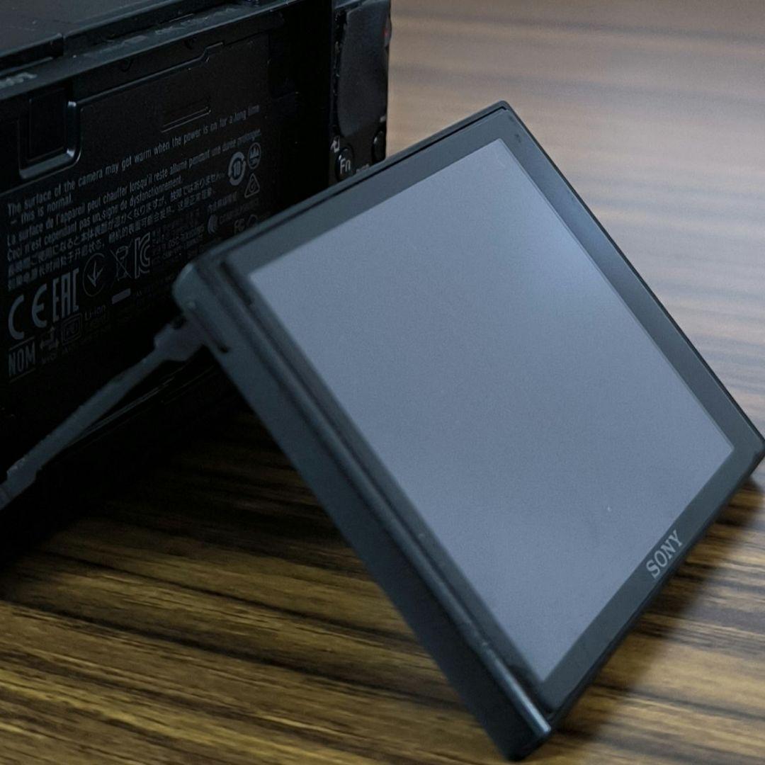 SONY Cyber Shot RX100V（RX100M5）動作良好／難あり