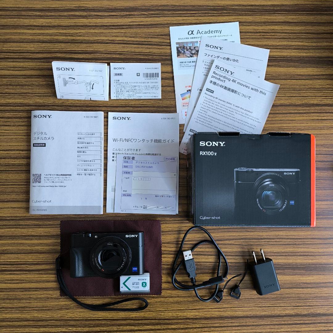 SONY Cyber Shot RX100V（RX100M5）動作良好／難あり