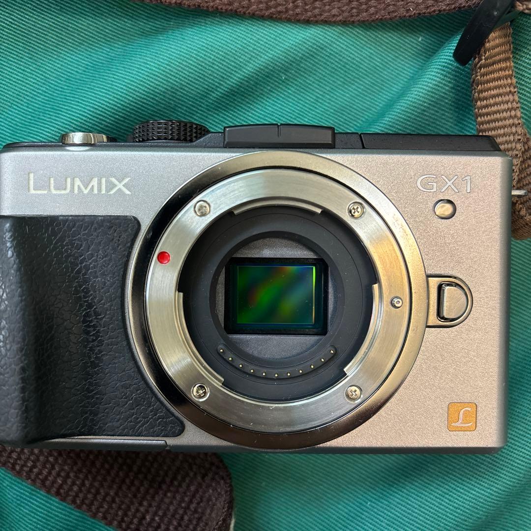 Panasonic DMC-GX1 ミラーレスカメラ