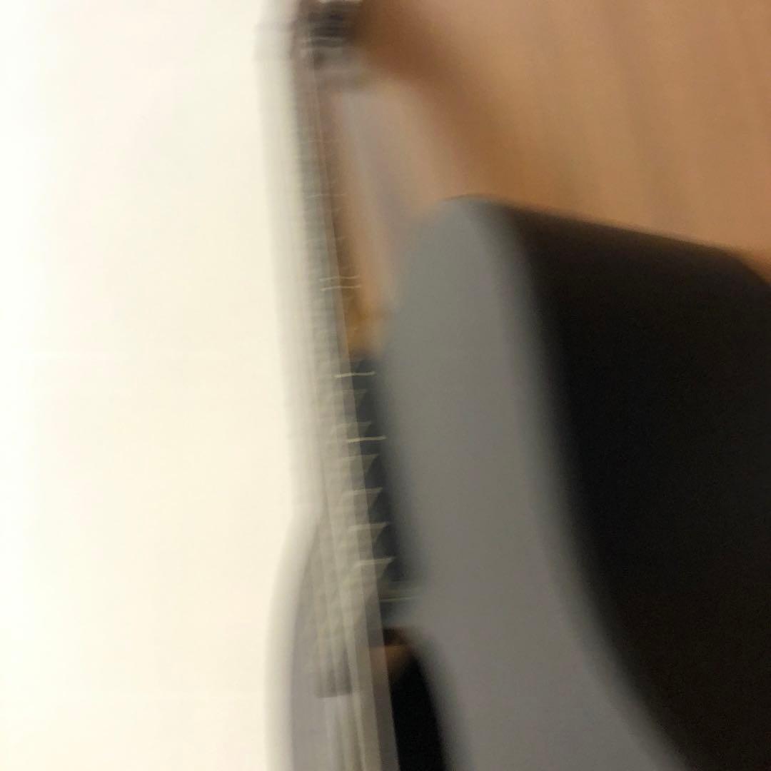 リトルマーチン　レフトハンド レフティ　左利き用　純正ソフトケース付き