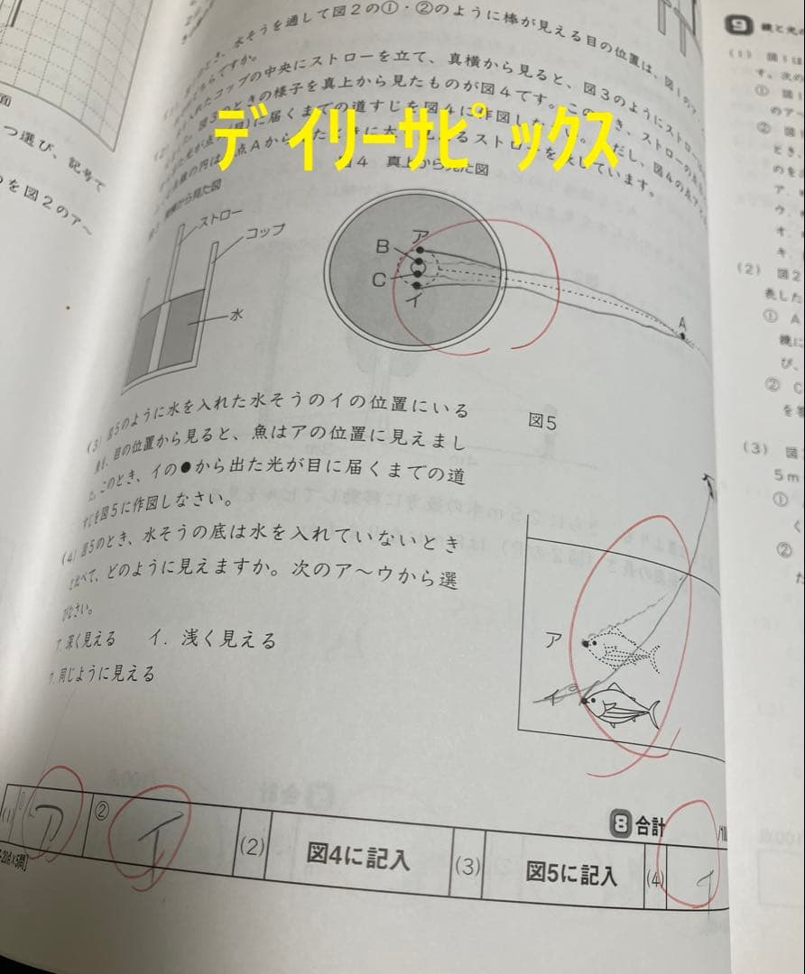 小6 理科 デイリーサピックス 24回分+春期講習•夏期講習 ウィークリーサピ他