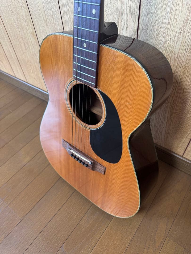Elite Takamine アコースティックギター F120