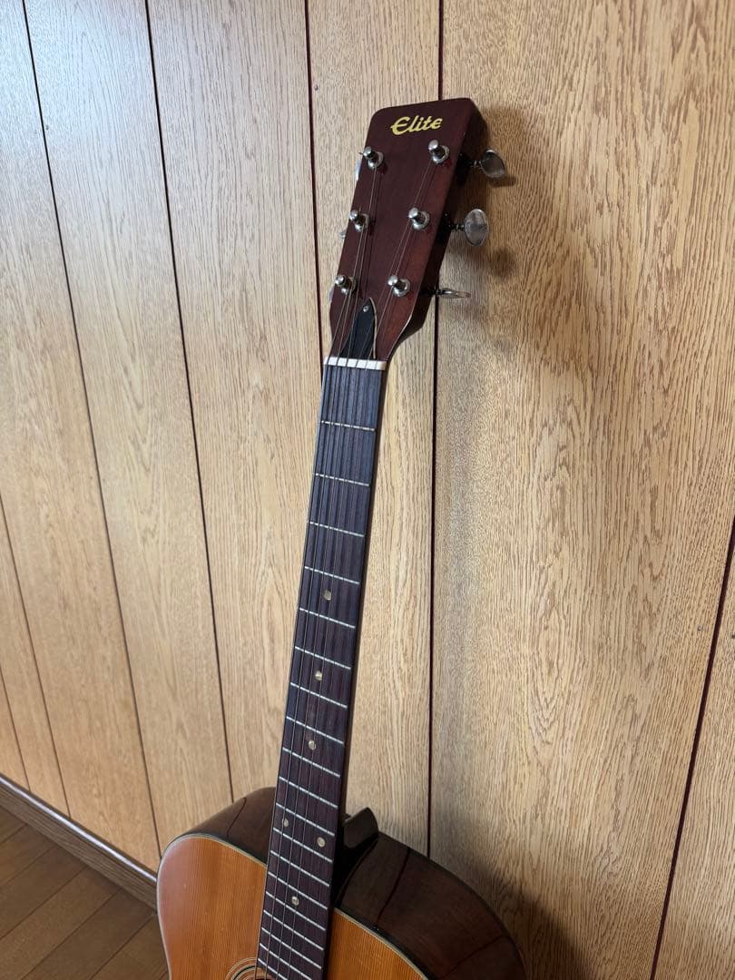 Elite Takamine アコースティックギター F120