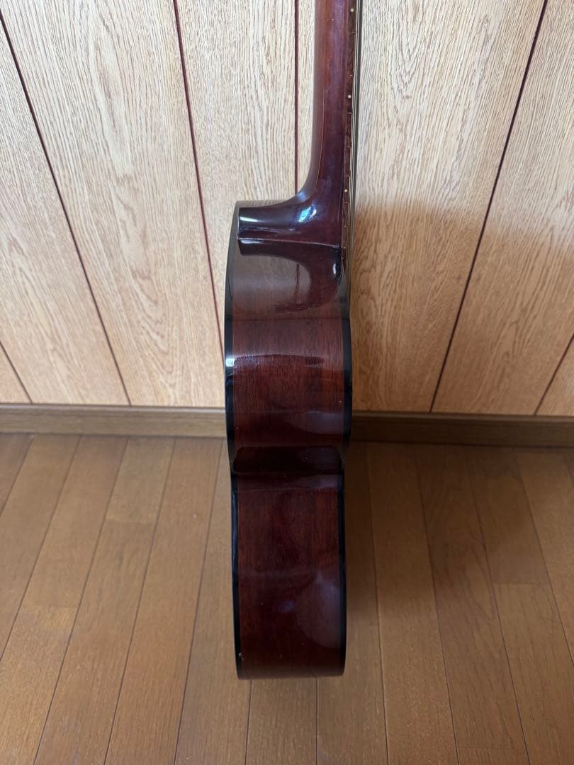 Elite Takamine アコースティックギター F120