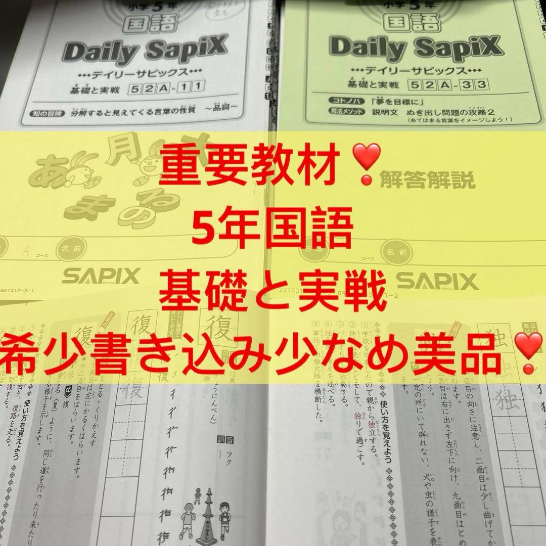 ㉑Ｂ　サピックス　SAPIX 国語 Aテキスト　基礎度実戦