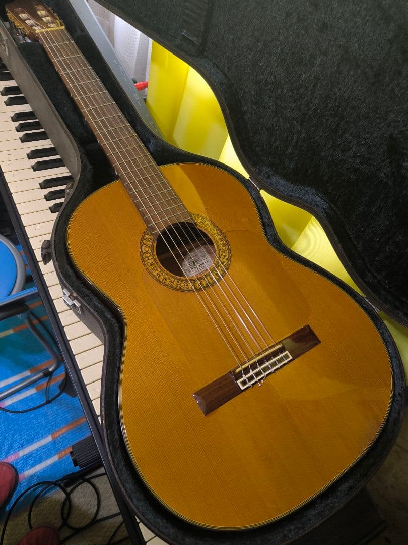 Takamineエレガットギター