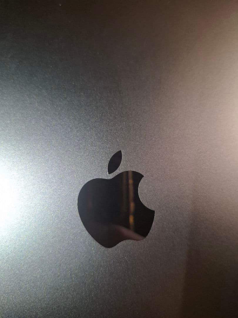 iPad本体 Apple iPad Pro m4 Wi-Fi 512GB