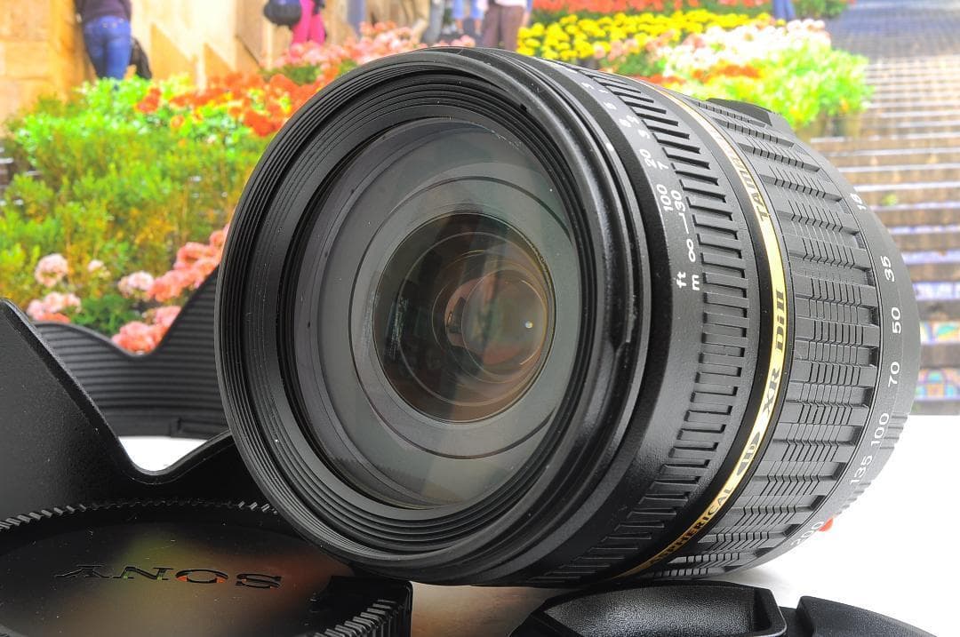 はーさん専用　TAMRON 18-200mm（ソニーAマウント）#1