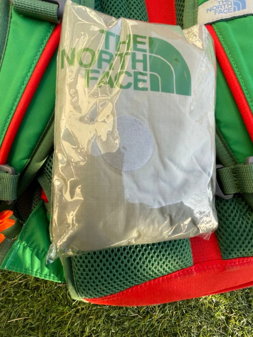 入手困難×稀少色THE NORTH FACE ノースフェイス テルス20リュック