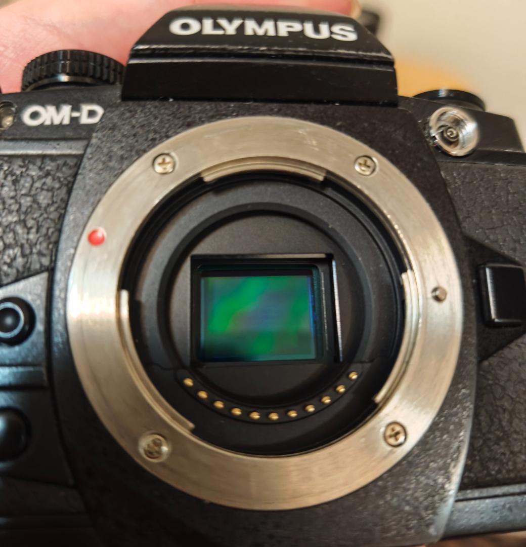 OLYMPUS OM-D E-M1 レンズ付