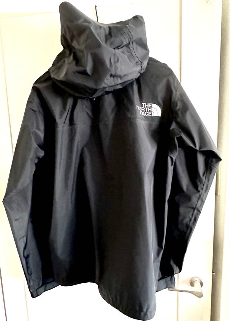 THE NORTH FACE GORE-TEX レインテックスジャケット XL