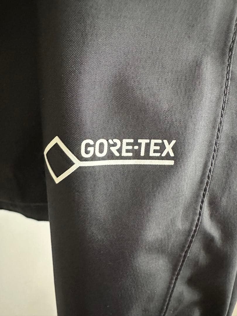 THE NORTH FACE GORE-TEX レインテックスジャケット XL