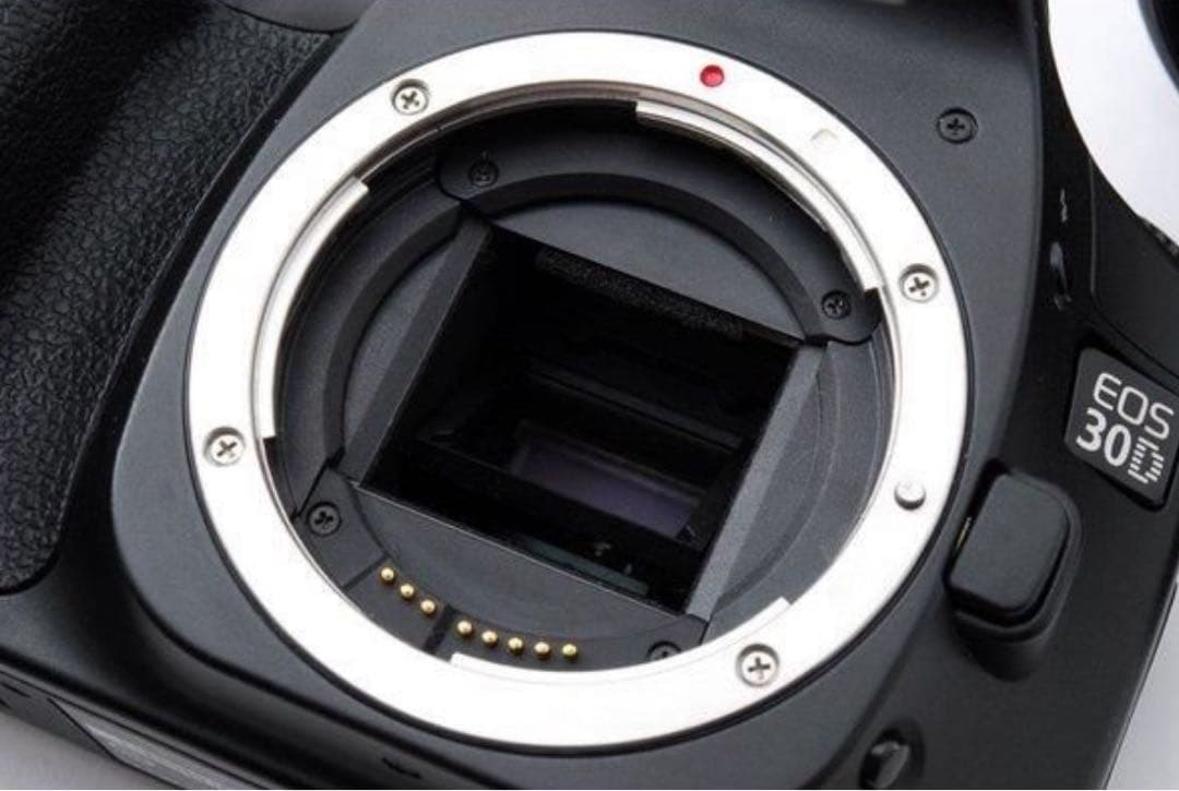 Canon EOS 30D デジタル一眼レフカメラ