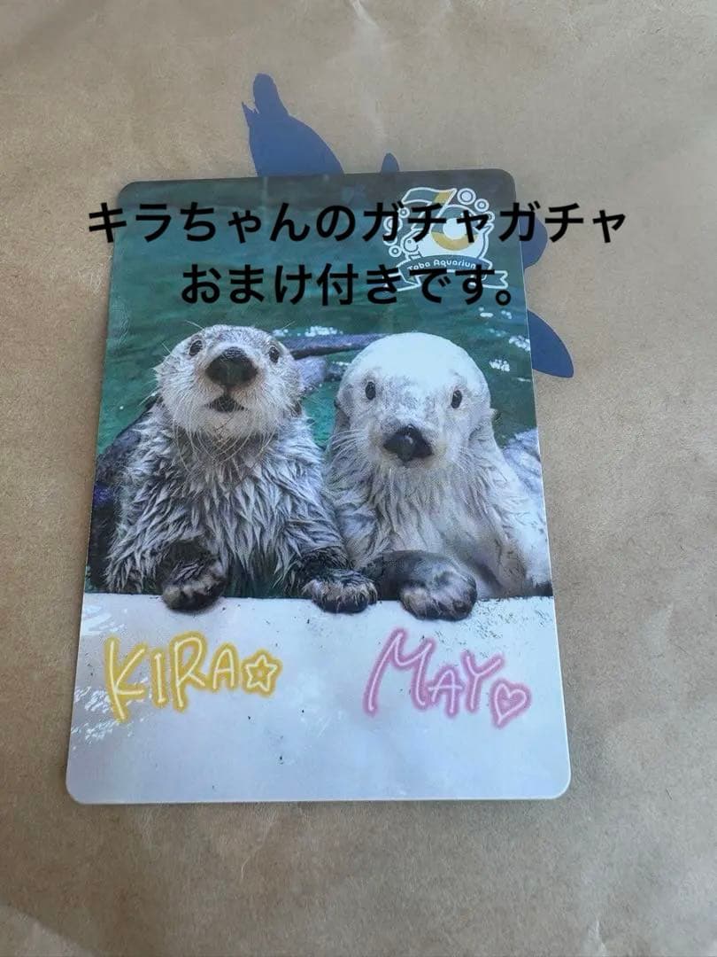最終値下げ！鳥羽水族館　コレクションカード　70周年記念ラッコ　キラ　メイ