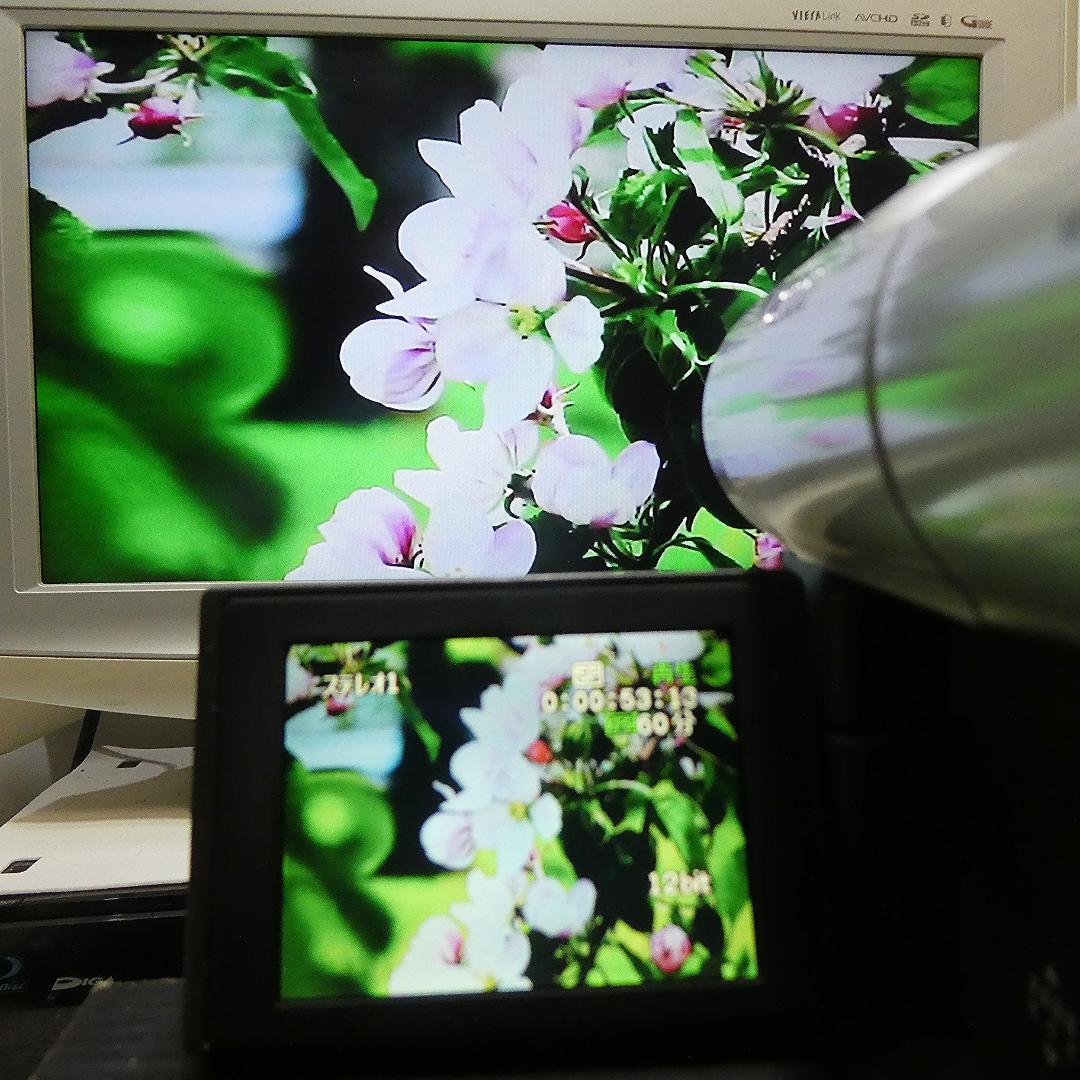 動作良好 Canon DM-FV1 MiniDVビデオカメラ　DVD化に最適