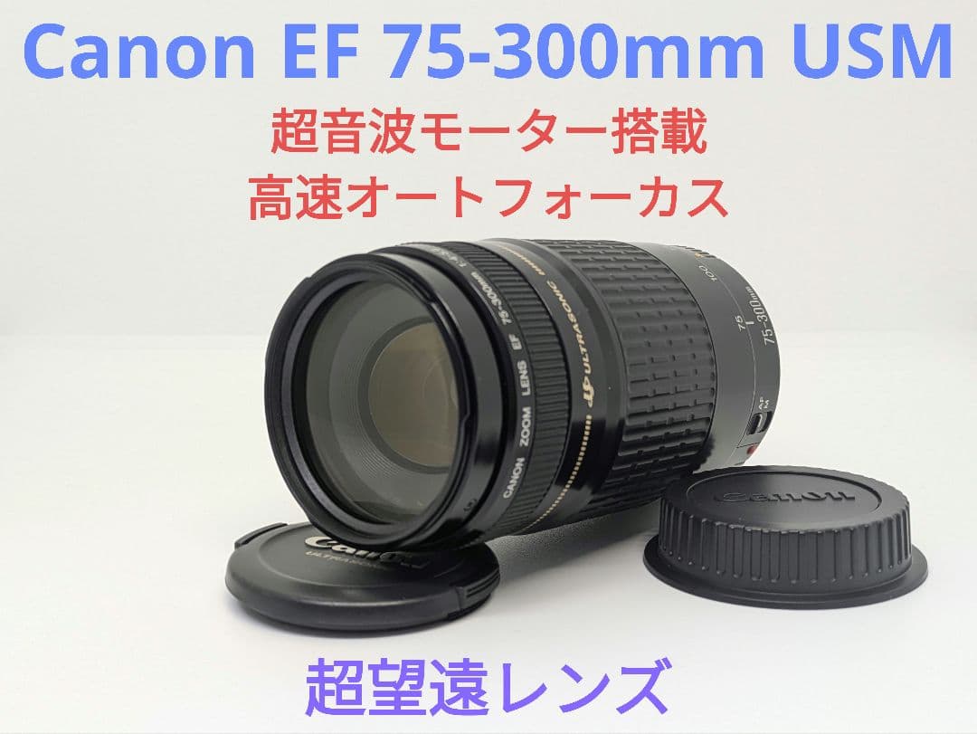 5月7日限定販売♪【超望遠レンズ】Canon EF 75-300mm USM