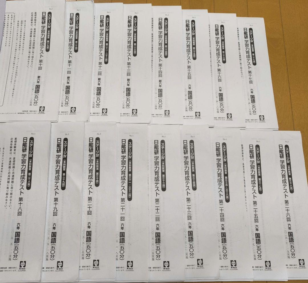 最新2025年度日能研 学習力育成テスト 前期 6年生全17回分