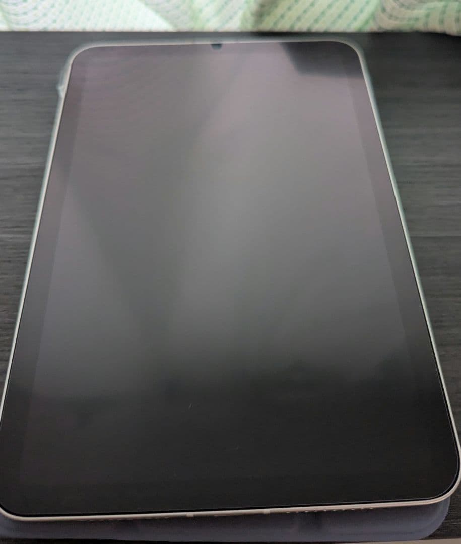 iPad本体 iPad mini 7 (A17pro) Wifi+Cellular 512GB