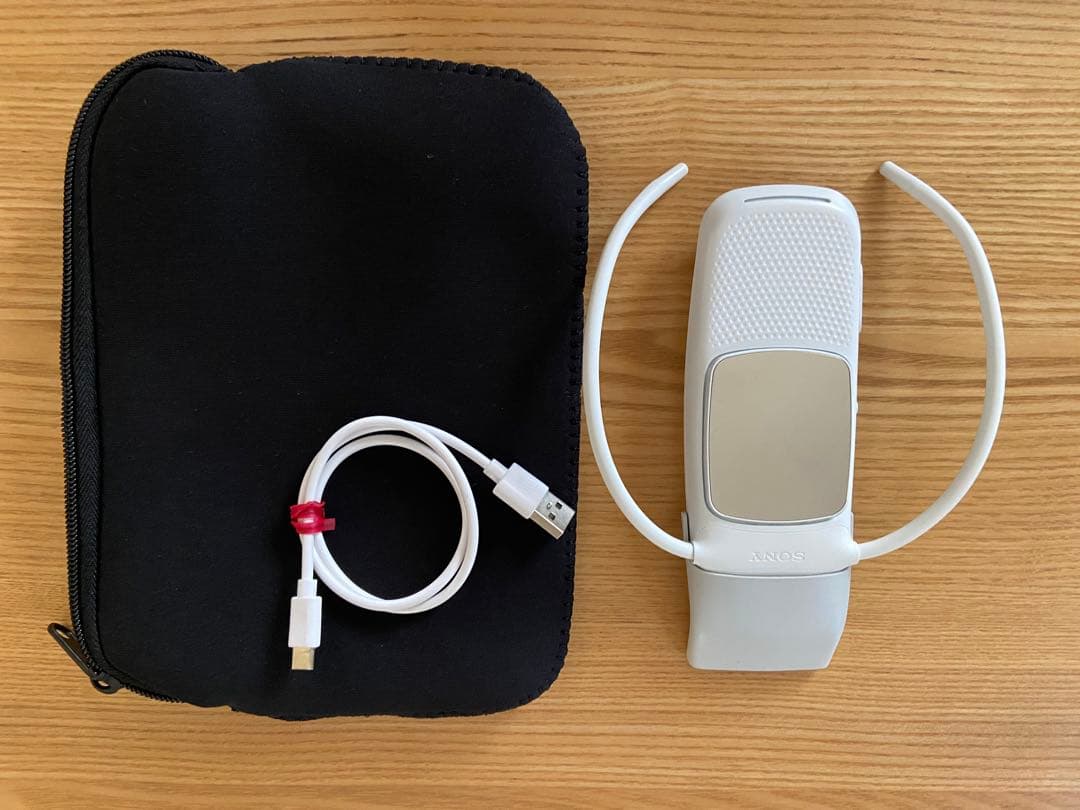 ソニー SONY REON POCKET 5 レオンポケット5