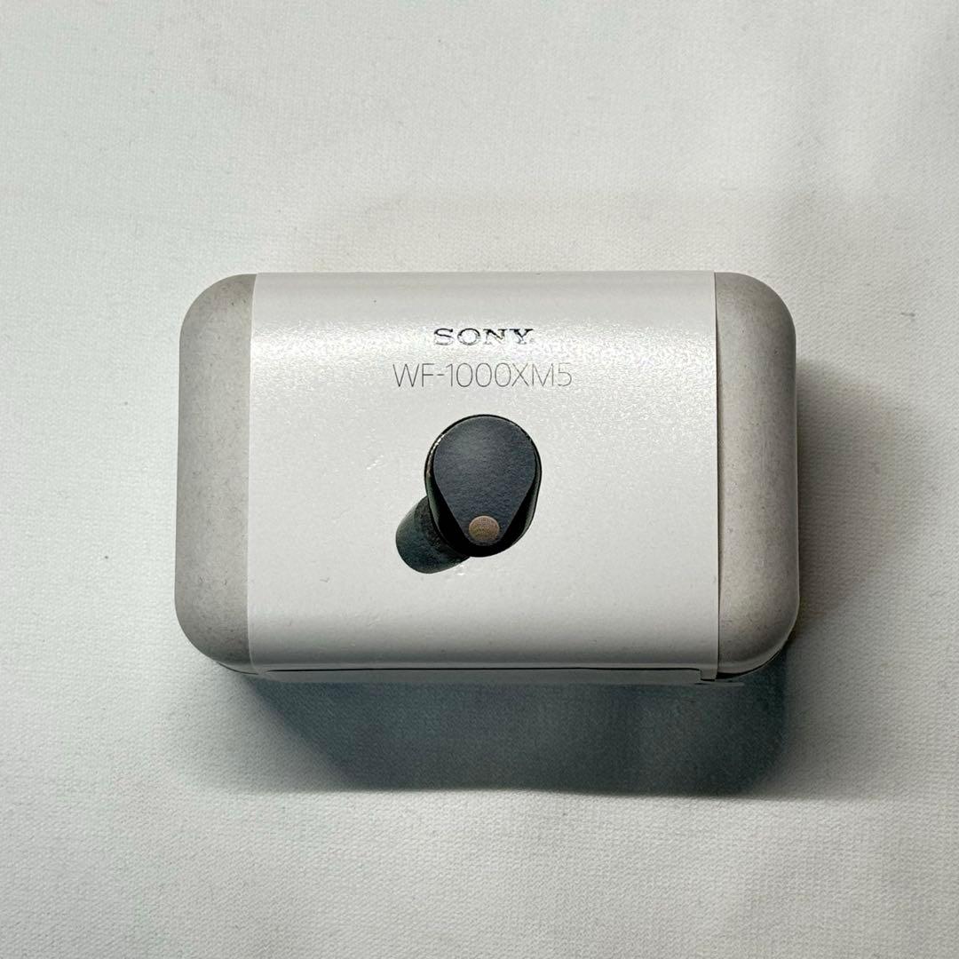 【専用ケース付き】SONY WF-1000XM5 ワイヤレスイヤホン ブラック