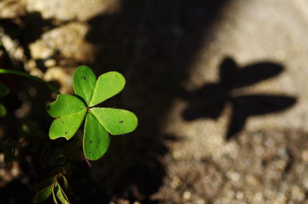 PENTAX　K-50　デジタル一眼レフカメラ　念のためジャンク扱い