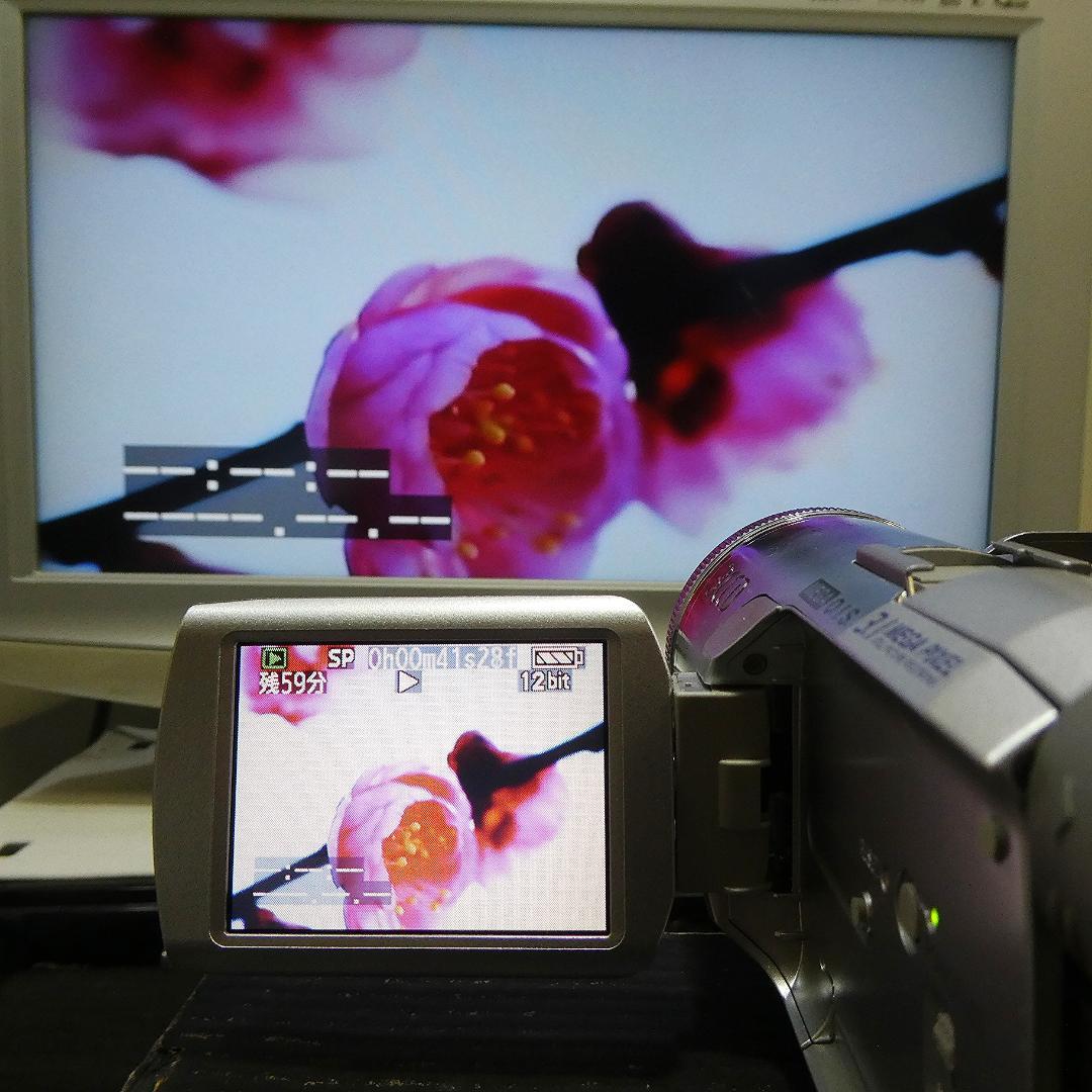 美品・動作良好 パナソニック NV-GS250 MiniDVビデオDVD化に最適