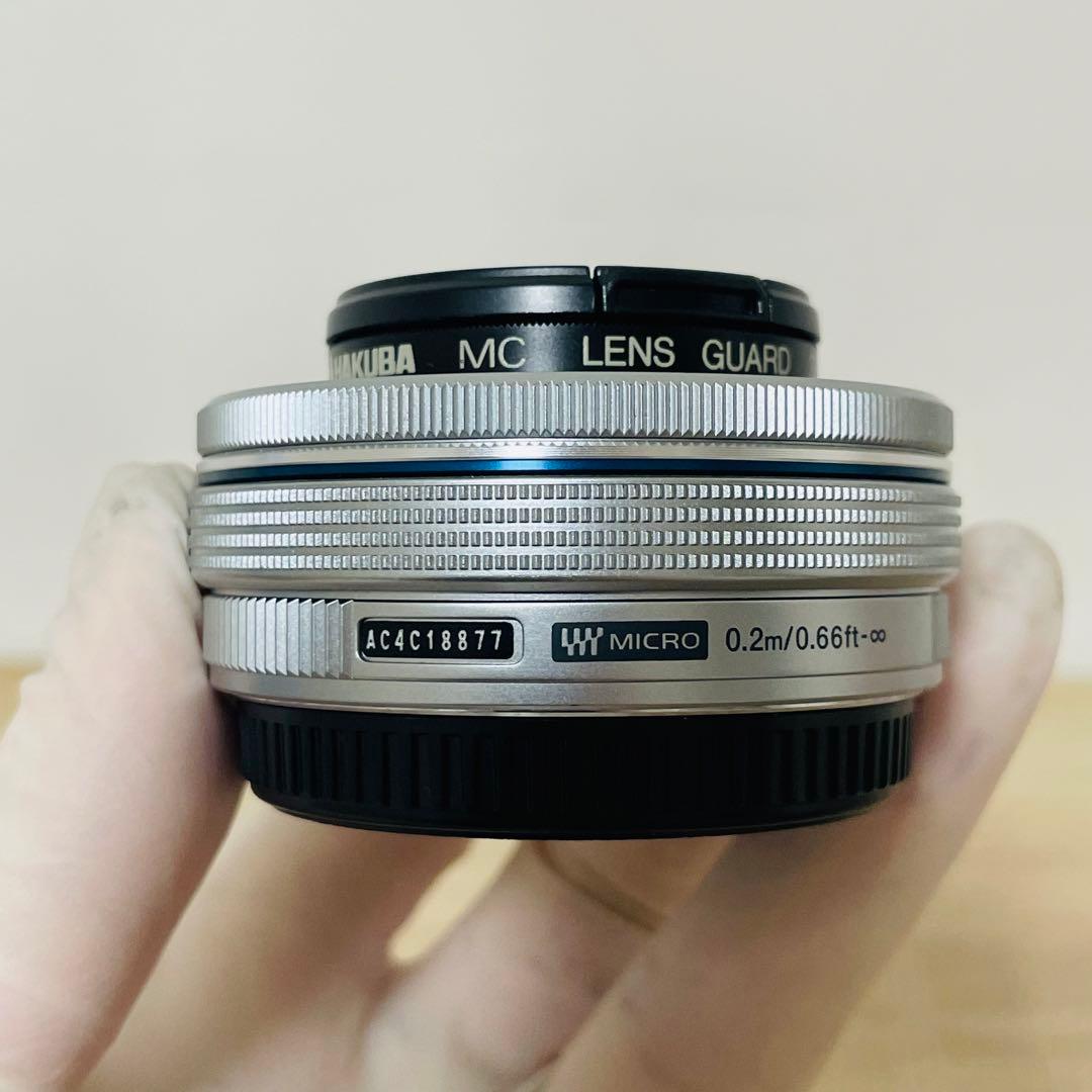 ★極美品★ OLYMPUS PEN Lite E-PL7 ダブルズームキット