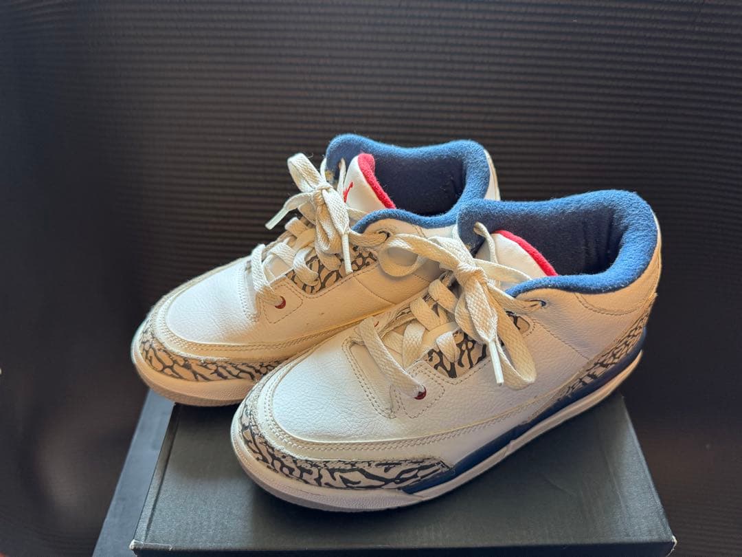 tataNike Air Jordan3 キッズサイズ21cm送料込み