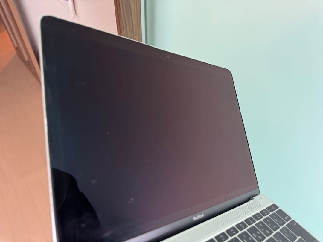 MacBook (Retina,12-inch,Early 2015) 本体のみ