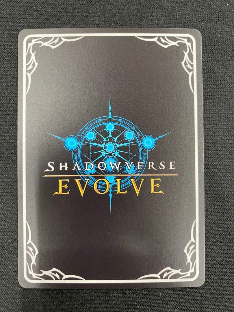 女神は朝焼けの海に 新田美波 SP