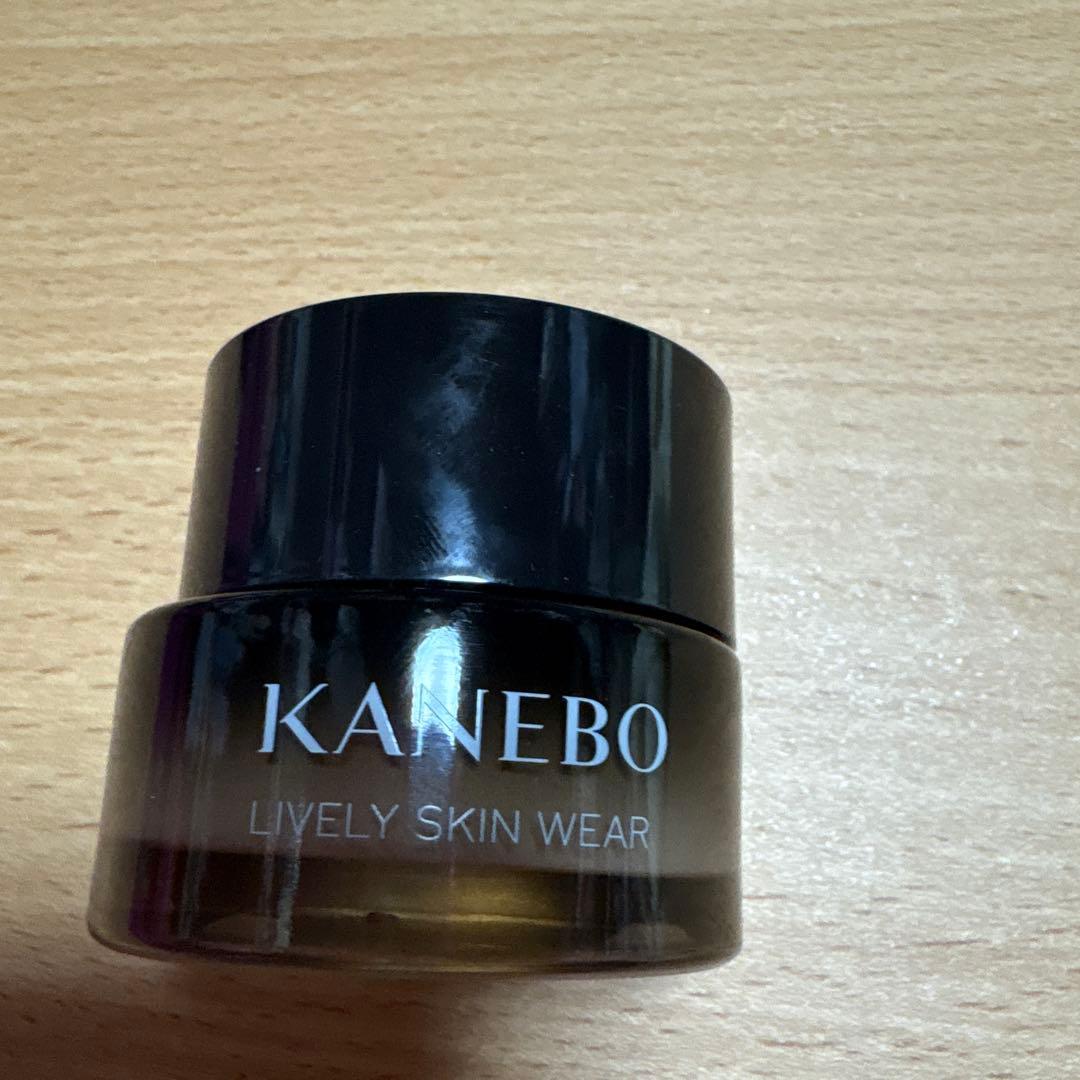カネボウ Kanebo ライブラリースキンウエアII 230