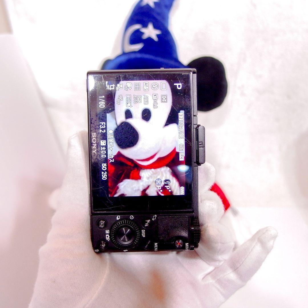 完動美品 ソニー SONY Cyber-Shot DSC-RX100M2