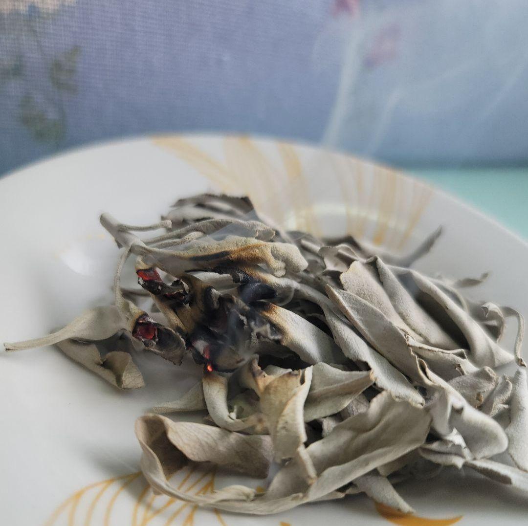 業務用価額タイムセール☆無農薬ホワイトセージ枝無しリーフ1KG浄化お香